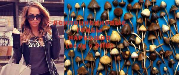 кокаин Горно-Алтайск