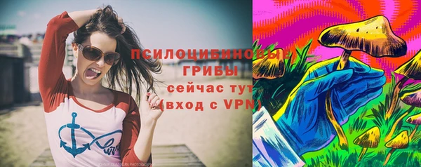 стафф Горняк