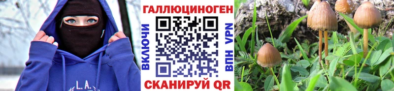 Галлюциногенные грибы GOLDEN TEACHER  Купить  Красноярск 