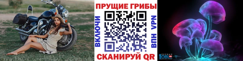 Псилоцибиновые грибы ЛСД Красноярск