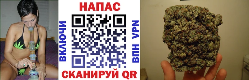 Бошки марихуана марихуана Красноярск